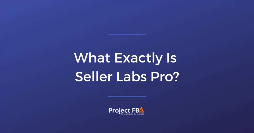 What Exactly Is Seller Labs Pro