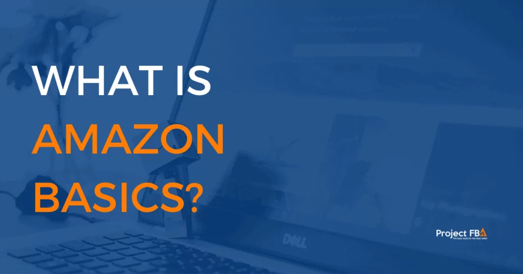 What Is Amazon Basics